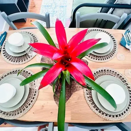 Apartment Large Flat Up 8pp *